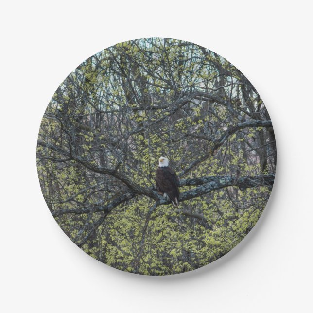 Eagle Awareness Paper Plate (Front)