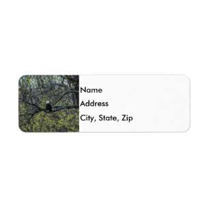 Eagle Awareness Return Address Label