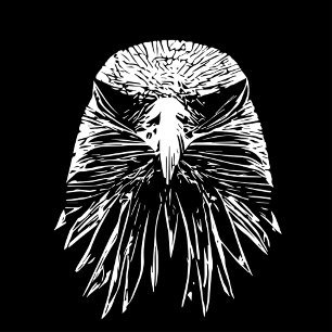 Eagle  bath towel set