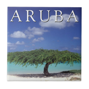 Eagle Beach   Caribbean, Aruba Ceramic Tile