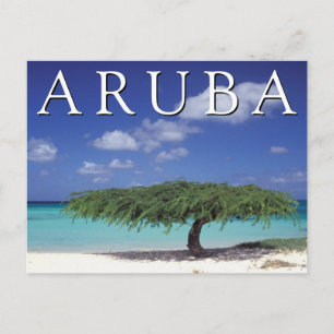 Eagle Beach   Caribbean, Aruba Postcard