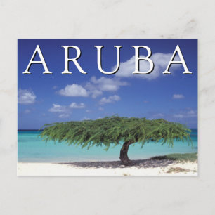 Eagle Beach   Caribbean, Aruba Postcard