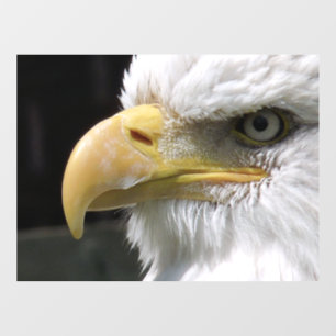 EAGLE BIRD OF PREY