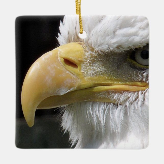 EAGLE BIRD OF PREY CERAMIC ORNAMENT (Front)