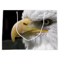 EAGLE BIRD OF PREY