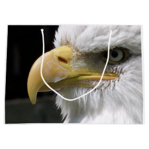 EAGLE BIRD OF PREY  LARGE GIFT BAG