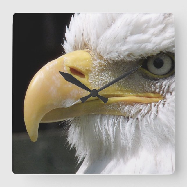 EAGLE BIRD OF PREY SQUARE WALL CLOCK (Front)