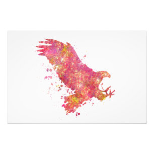 Eagle Birds Wild Forest Nature World Earth Flight Photo Print