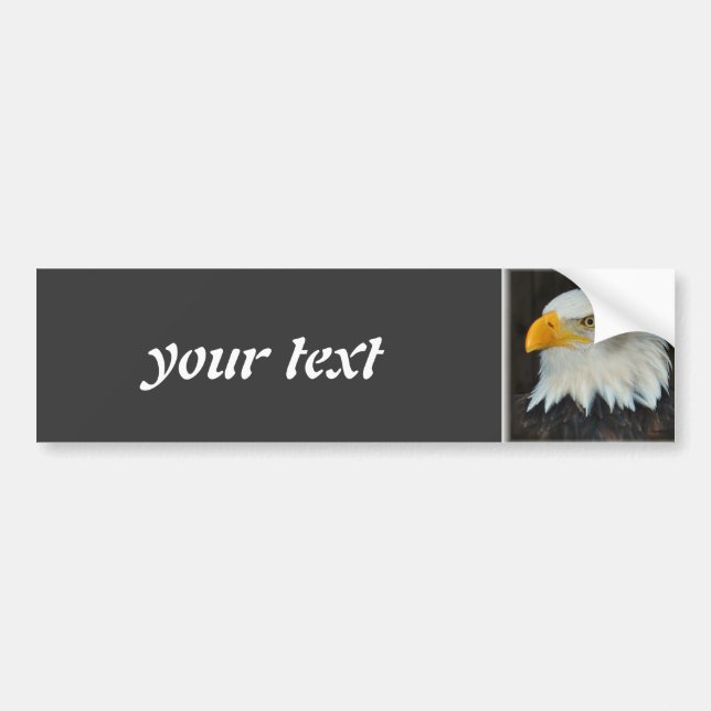 eagle bumper sticker (Front)