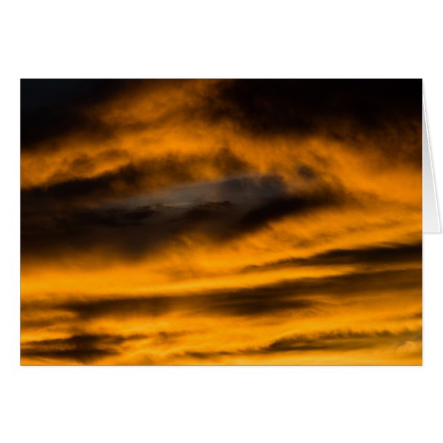 eagle burnout (Front Horizontal)