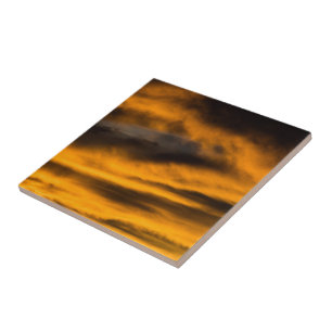 eagle burnout ceramic tile