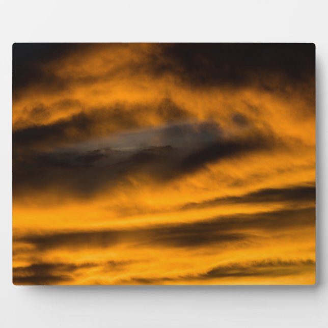 eagle burnout plaque (Front)