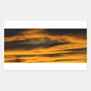 eagle burnout rectangular sticker