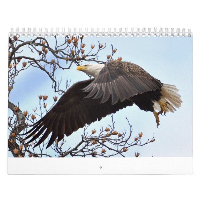Eagle Calendar (Cover)
