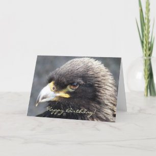 EAGLE CARD