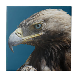 Eagle Ceramic Tile