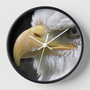 EAGLE  CLOCK