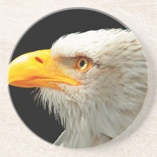 EAGLE COASTER