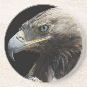 Eagle Coaster