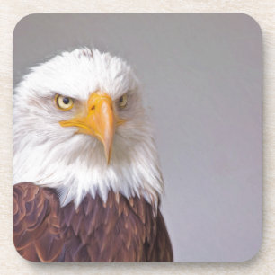 Eagle Coaster