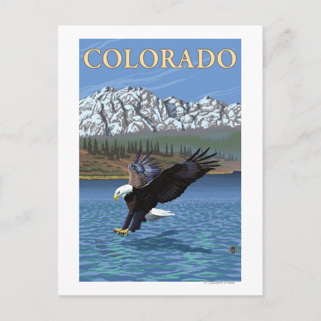 Eagle DivingColorado Postcard (Front)