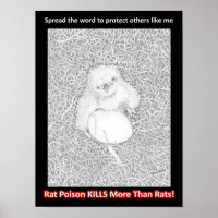 EAGLE E14 SAYS PROTECT WILDLIFE SAVE LIVES