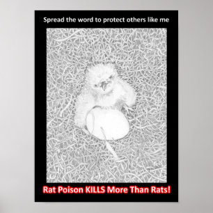EAGLE E14 SAYS PROTECT WILDLIFE SAVE LIVES POSTER