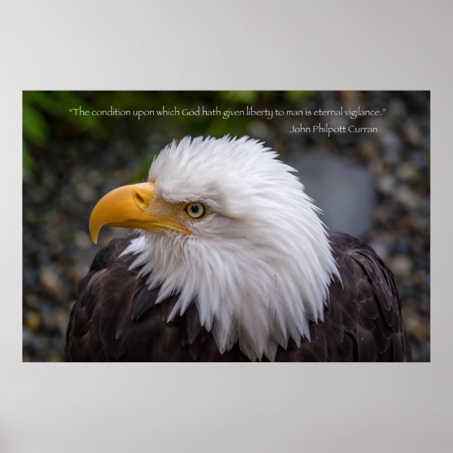 Eagle Eternal Vigilance Liberty Quote Poster (Front)