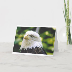 Eagle Eye Card