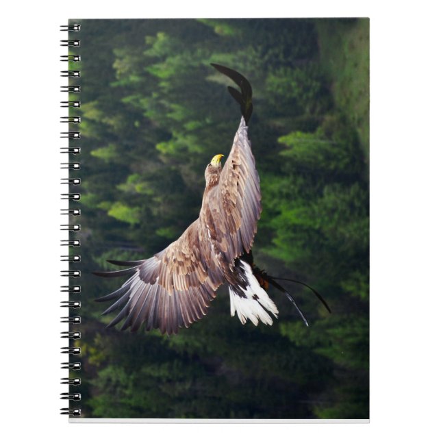 Eagle Eye View Notebook (Front)