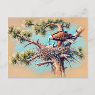 Eagle Feeding Young in Nest on Pine Tree Pastel Postcard