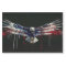 Eagle Flag Street Art Paint Decoupage