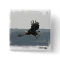 Eagle Flight Button