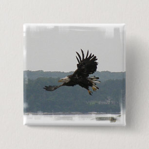 Eagle Flight Button