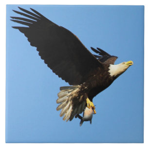 Eagle Flight Ceramic Tile