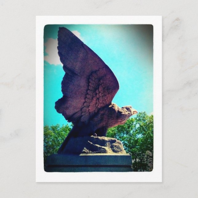 eagle flight postcard (Front)