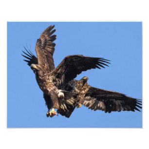 Eagle Games Photo Print