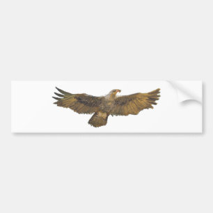 Eagle Golden Eagle Bald Eagle Bumper Sticker