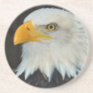 Eagle Head Coaster