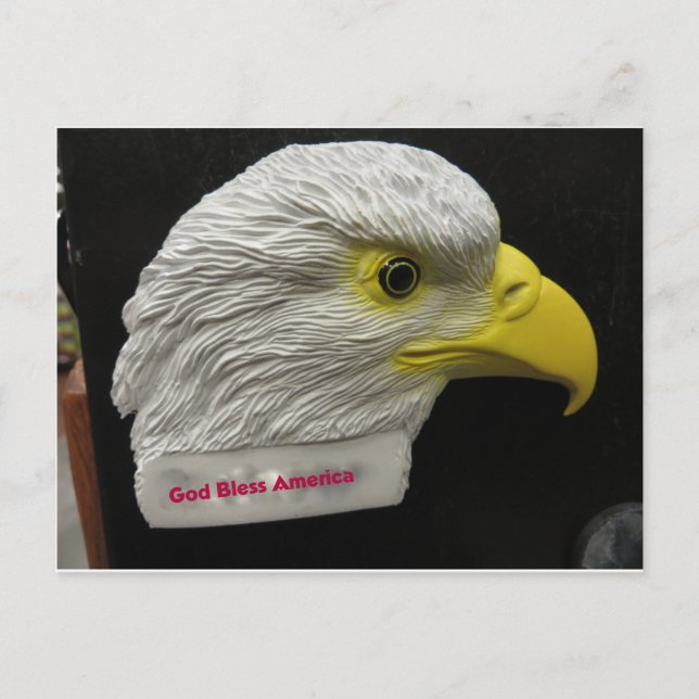 Eagle Head Postcard (Front)