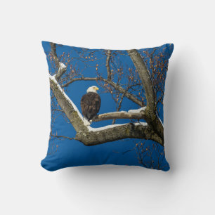 Eagle in a Snowy Tree Cushion