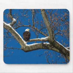 Eagle in a Snowy Tree Mouse Pad