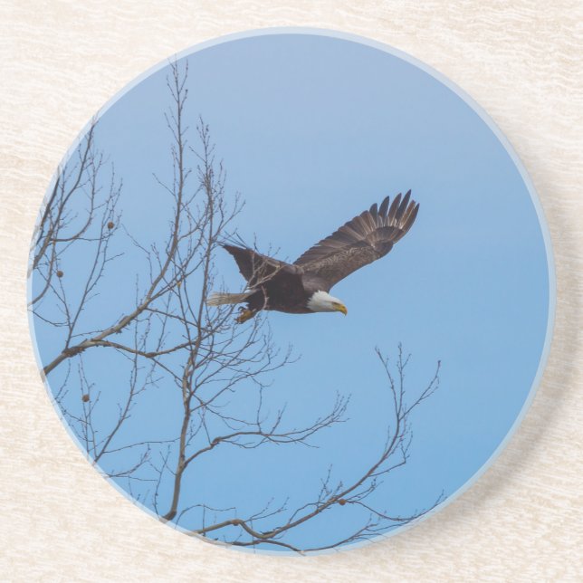 Eagle In Flight Coaster (Front)