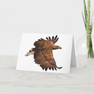 Eagle in Flight Greeting Card