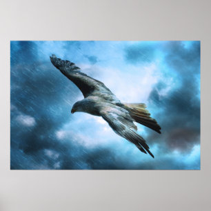 Eagle in flight poster