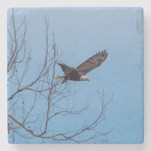 Eagle In Flight Stone Coaster (Front)