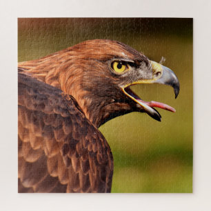 Eagle Jigsaw Puzzle