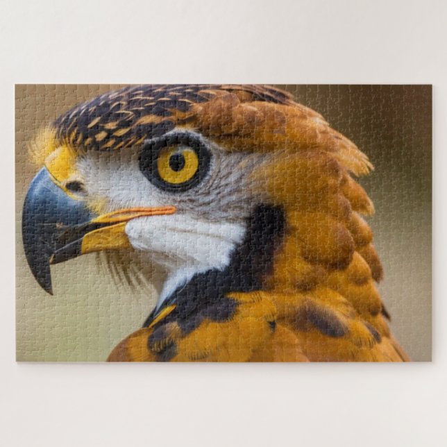Eagle Jigsaw Puzzle (Horizontal)