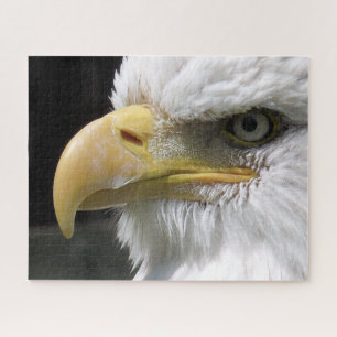 EAGLE   JIGSAW PUZZLE