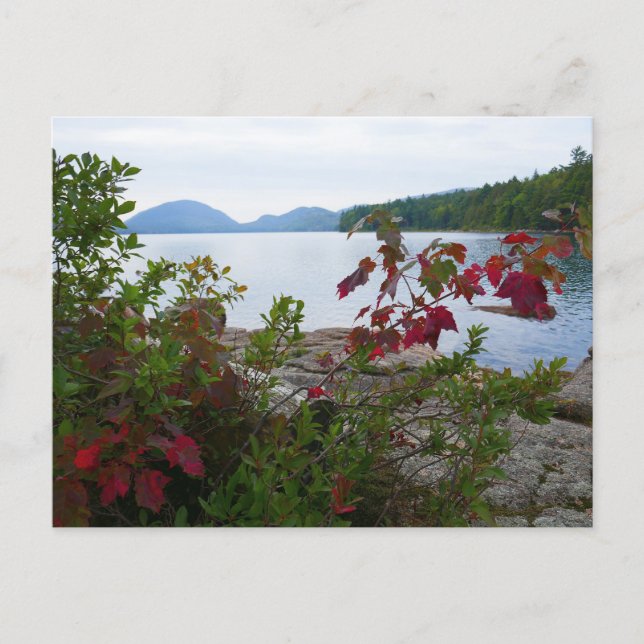 Eagle Lake and Red Maple Leaves I Postcard (Front)